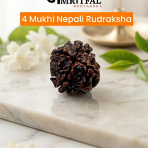 4 Mukhi Nepali Rudraksha (R001)