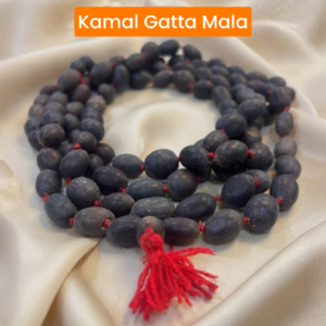 Kamal Gatta Mala (KG00)